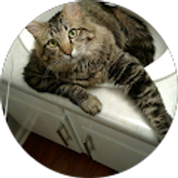 Profile photo of Fluff n'stuff