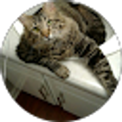 Profile photo of Fluff n'stuff