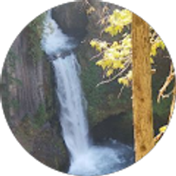 Profile photo of Jo Karikko