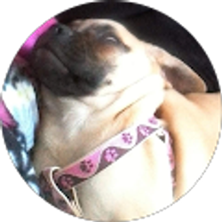 Profile photo of Brian L