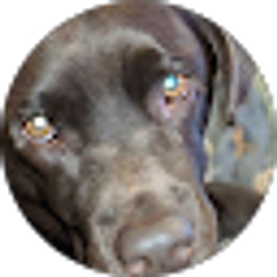 Profile photo of smedleysmoot
