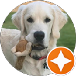 Profile photo of Nahuel Bottarini