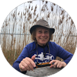 Profile photo of Sophie Troy