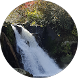 Profile photo of Meghan VanBeek