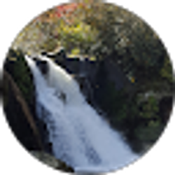 Profile photo of Meghan VanBeek