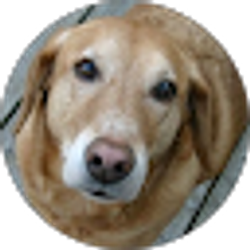 Profile photo of Barbara Stone