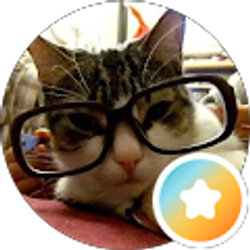 Profile photo of Kevin Chung