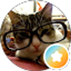 Profile photo of Kevin Chung