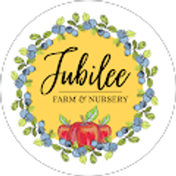 Profile photo of Lindsay Elson