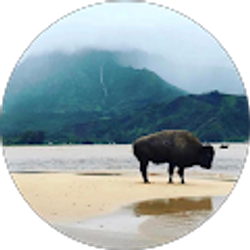 Profile photo of Justin Newman