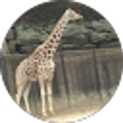 Profile photo of Matthew Wilson