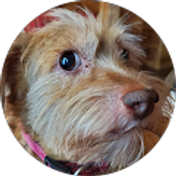 Profile photo of Gary Schrader