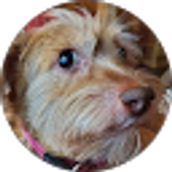 Profile photo of Gary Schrader