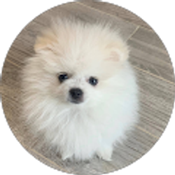 Profile photo of Protect Your Energy