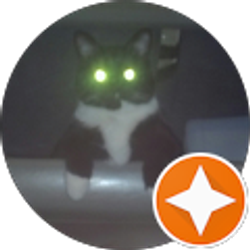 Profile photo of Lainey Grace