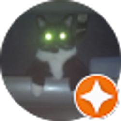 Profile photo of Lainey Grace