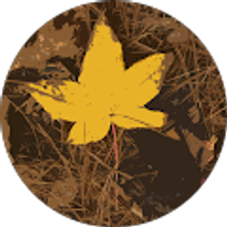 Profile photo of Julia