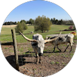 Profile photo of Andrew Banta