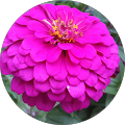 Profile photo of Barb Eikenberry