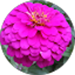 Profile photo of Barb Eikenberry
