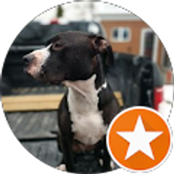 Profile photo of Mike Merucci