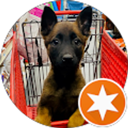 Profile photo of Claudia Sanchez