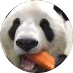 Profile photo of Rosanne Van Dyke