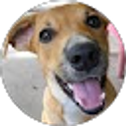 Profile photo of Kelly Denson