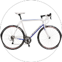 Profile photo of Yang Li