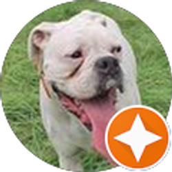 Profile photo of Kathy Struve