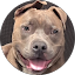 Profile photo of Tristin McMahan