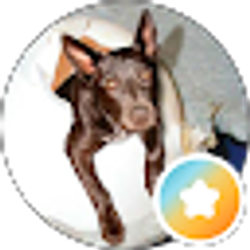 Profile photo of Sonya Lu