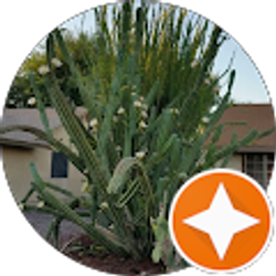 Profile photo of Kevin Ryan