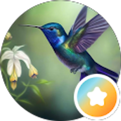 Profile photo of MiMi