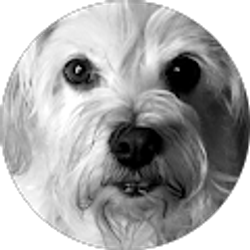 Profile photo of Ms. Jackson