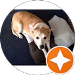 Profile photo of Patrick Calento