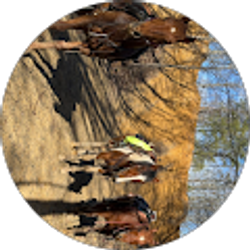 Profile photo of McKenzie Martin