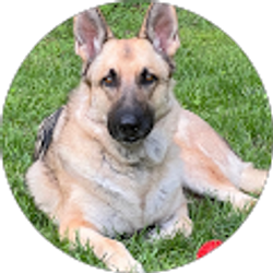 Profile photo of Gwen Carley