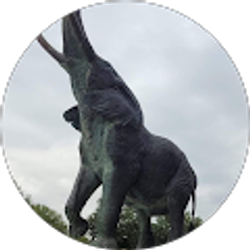 Profile photo of Agapitos M