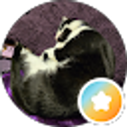 Profile photo of Bella Marie