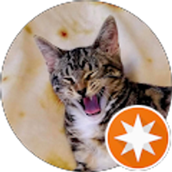 Profile photo of Andrew Prather