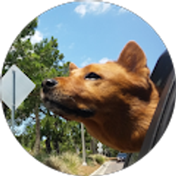 Profile photo of Anthony Malec