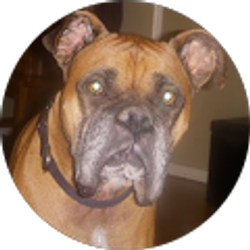 Profile photo of Scott Kirking