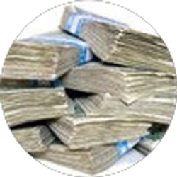 Profile photo of Anology