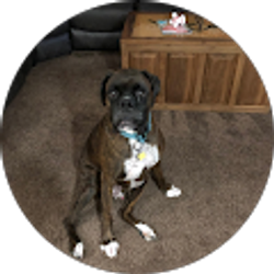 Profile photo of Trena Ball