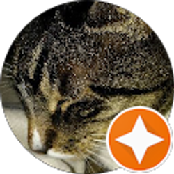 Profile photo of Cindy E