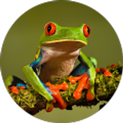 Profile photo of dan duv