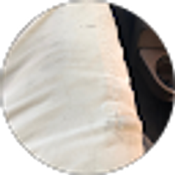 Profile photo of Pat L