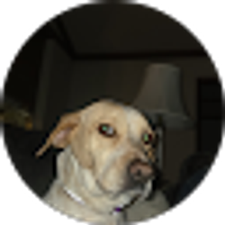 Profile photo of Donovan Brown