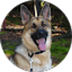 Profile photo of Karla Young